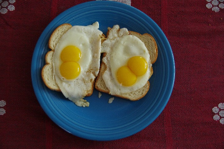 571_Two eggs four yolks 12x18 300ppi 20100509 IMGP1870