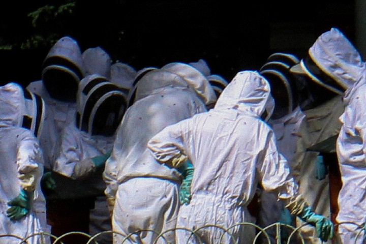 _ver3_untitled_Swarm_of_Beekeepers_Paris_12x18