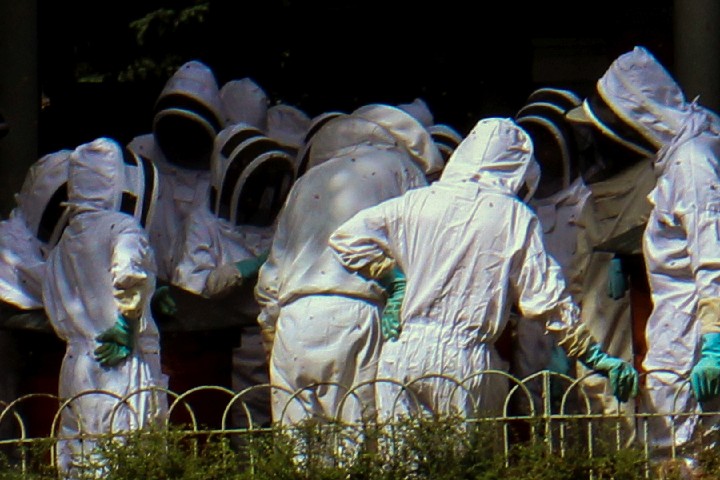 034__ver2_untitled_Swarm_of_Beekeepers_Paris_corr-4_12x18