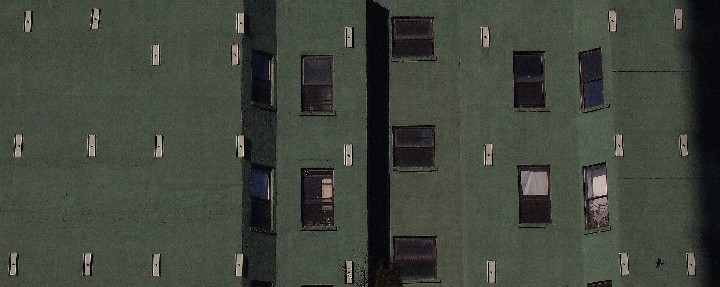 Green Wall with Pigeon Shadow-NYC_2_20120226_O2261994