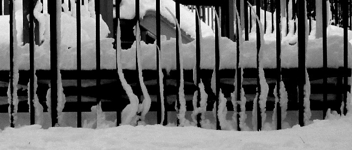 Snow_Fence_NYC_IMG_5849_2001-01-27