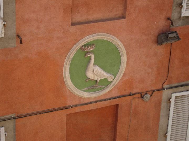 018zea_Siena_Goose_contrada_2010-0801_IMG_7522