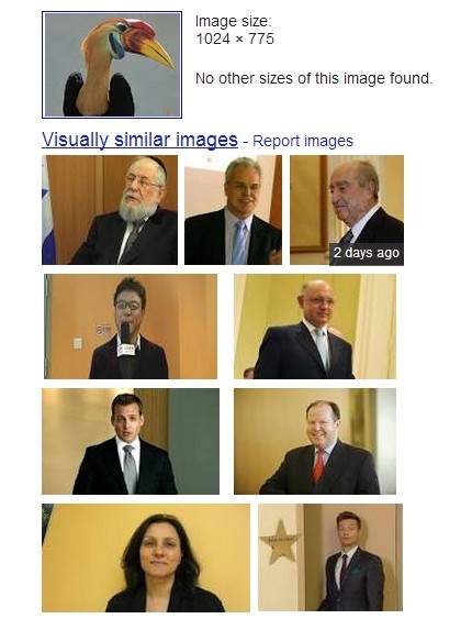 Visually Similar Images